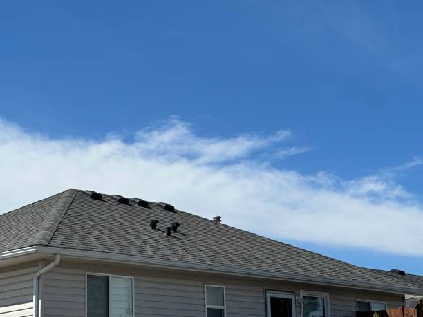 Best Steel Roofing  in Vandalia, OH